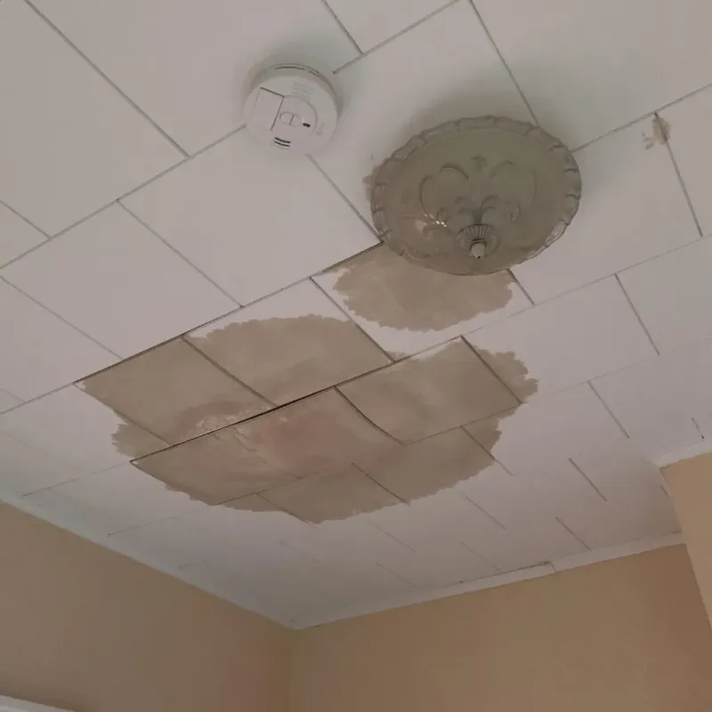Ceiling Water Damage Repair in Head of Westport, MA