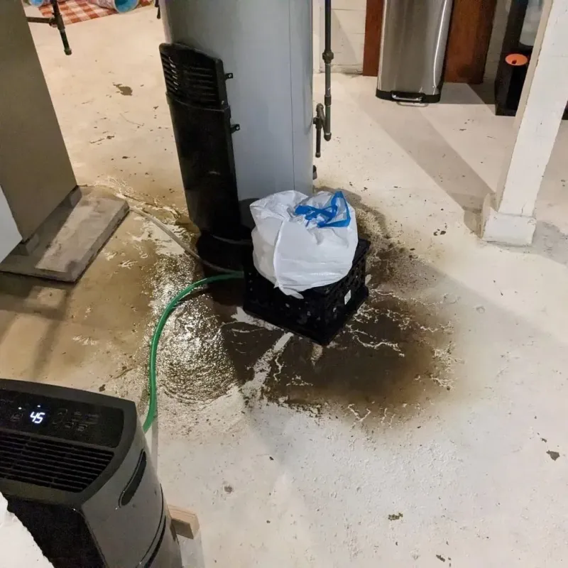 Sewage Backup Cleanup Service in Head of Westport, MA